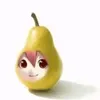 gubkka_