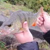 kbandkmfishing