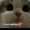 ig_nexik