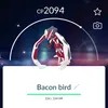 user285760602