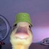 mr_bread98