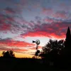 janiii_169