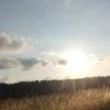 mayalundqvist0