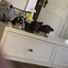 nyairejones4