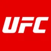u.f.c_fights04