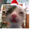nylise_kyw