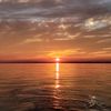 etienne_yelle