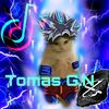tomasgonzalez844