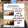 user9551341575841