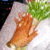 user1707183592494
