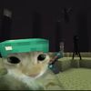 vod_ood