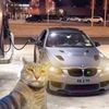 natiq.mamedov8