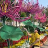 xuanthaonguyen2204