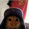 gato_sovietico87