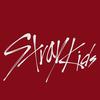 123.straykids