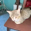 redjay7_