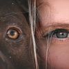 irius.apbt.ua