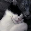 ilove_mybf52