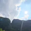 cecelhcd9mn