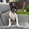 pixie_mynewbaby