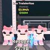 regalo_brainot1