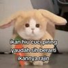 ye