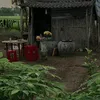 thikcanhque90