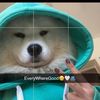 bobby_vibez25