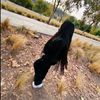_nery._.mh_