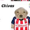 chivas_y_mexico