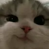 malauhuy_