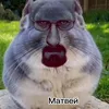 sma.rti.k