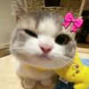 d4isyue_31