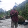 brididterter