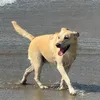 joaquinxxl12