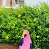 syafikul.2