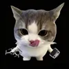 deiiib.1