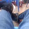 _nucho