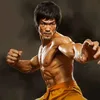 shinobironin7