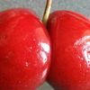 cherrythedude