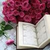 fz.mzr