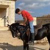 mohamad__harb