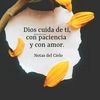 lupita.fentanes