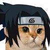 user37676375113361