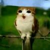 someones_95