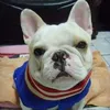 user92390137191691