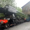 scotsmangamingtiktok