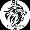 blblood13