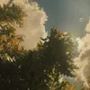 lyulya101