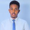 mohamedalimohamed219